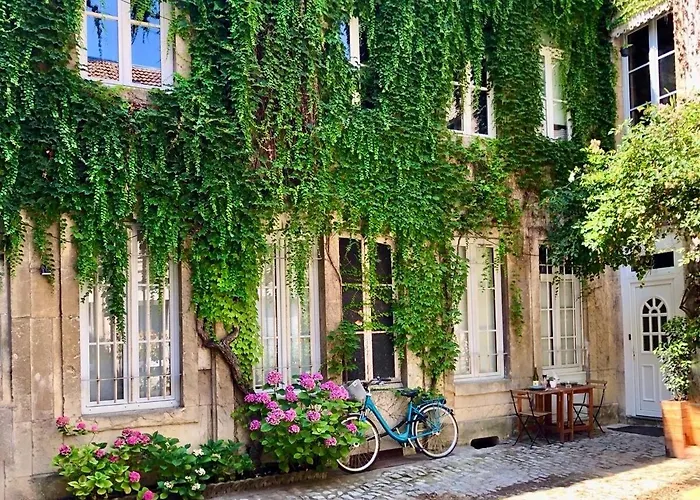 Apartman La Chouette Blanche, Hypercentre Dijon